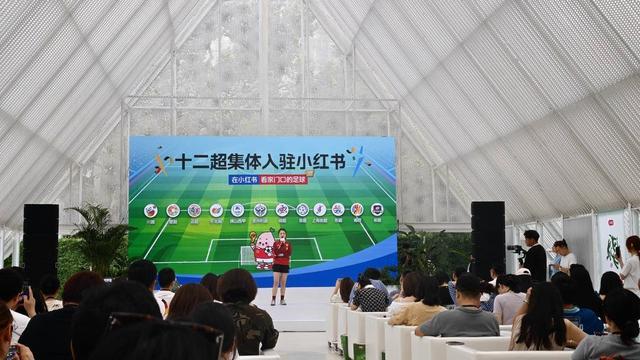 归来仍是传奇，马龙和许昕的松弛与坚韧