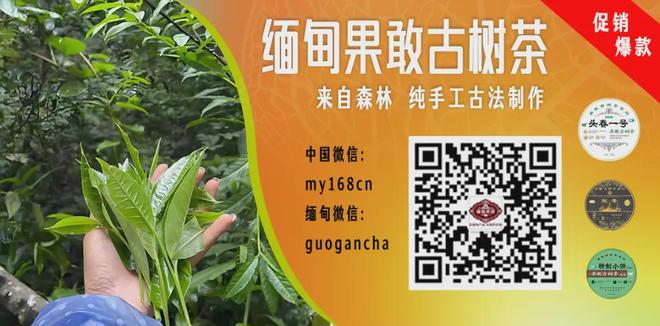 美加墨世界杯小组赛巴西队1:1战平摩洛哥队