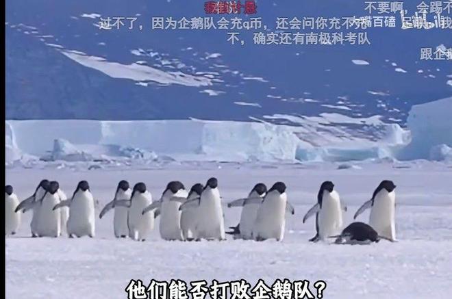 尤文签下2007年锋线新星奥科洛,加入尤文图斯新一代