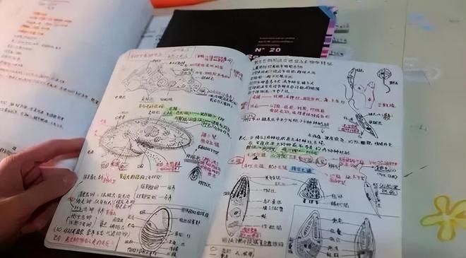 官媒：突尼斯主帅拉穆齐下课，原沙特主帅勒纳尔带队踢世界杯