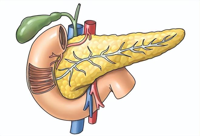 里奇·保罗：詹姆斯若联手库里，将呈现“篮球智慧”的极致